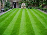 Lawn Care and Lawn Aeration Services